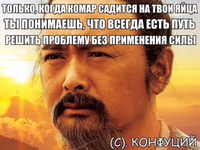 Прикрепленное изображение: комар.jpg